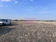 Teren Domnesti strada Ciocarliei